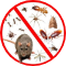 Logo de Manservis