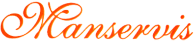 Manservis