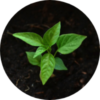 Calidad y responsabilidad ambiental